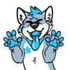 Galaxy’s da Husky 7