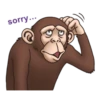 sorry