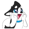 留