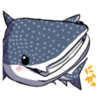 Kawaii Whale Shark 6