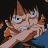 Luffy 9