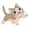 Meowcat 5