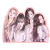 BLACKPINK 14