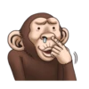 Crazy Funky Monkey 12