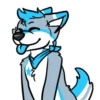 Galaxy’s da Husky 9