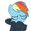 Mlp:Rainbow dash 16