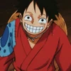 Luffy 11
