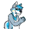 Galaxy’s da Husky 10
