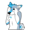 Galaxy’s da Husky 11