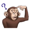 Crazy Funky Monkey 17