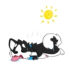 >)})