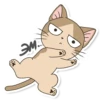 Meowcat 8