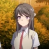 Mai Sakurajima 13