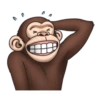 Crazy Funky Monkey 19