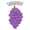 Member Berries 15