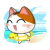 Gojil The Meow 18
