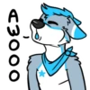 Galaxy’s da Husky 12