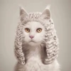 Animals emotions 16