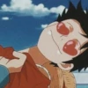 Luffy 13