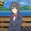 Mai Sakurajima 14