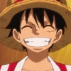 Luffy 14