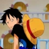 Luffy 15