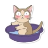 Meowcat 11