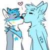 Galaxy’s da Husky 13