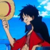 Luffy 16