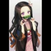 Demon Slayer 14