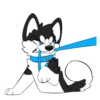 Husky Pack 15