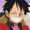 Luffy 17
