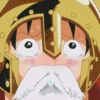 Luffy 19