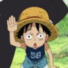 Luffy 20