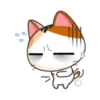 C
기