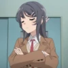 Mai Sakurajima 17