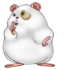 Naughty hamster 13