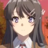 Mai Sakurajima 19