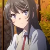 Mai Sakurajima 20