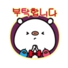 Kawaii Kuma 22