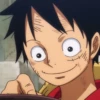 Luffy 23