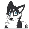 Husky Pack 17