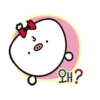 Kawaii Kuma 23