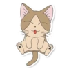 Meowcat 16