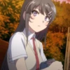 Mai Sakurajima 22