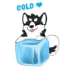 COLD