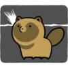 Raccoon dog & Fox 20