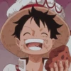 Luffy 24