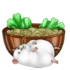 Naughty hamster 17