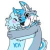 Galaxy’s da Husky 16